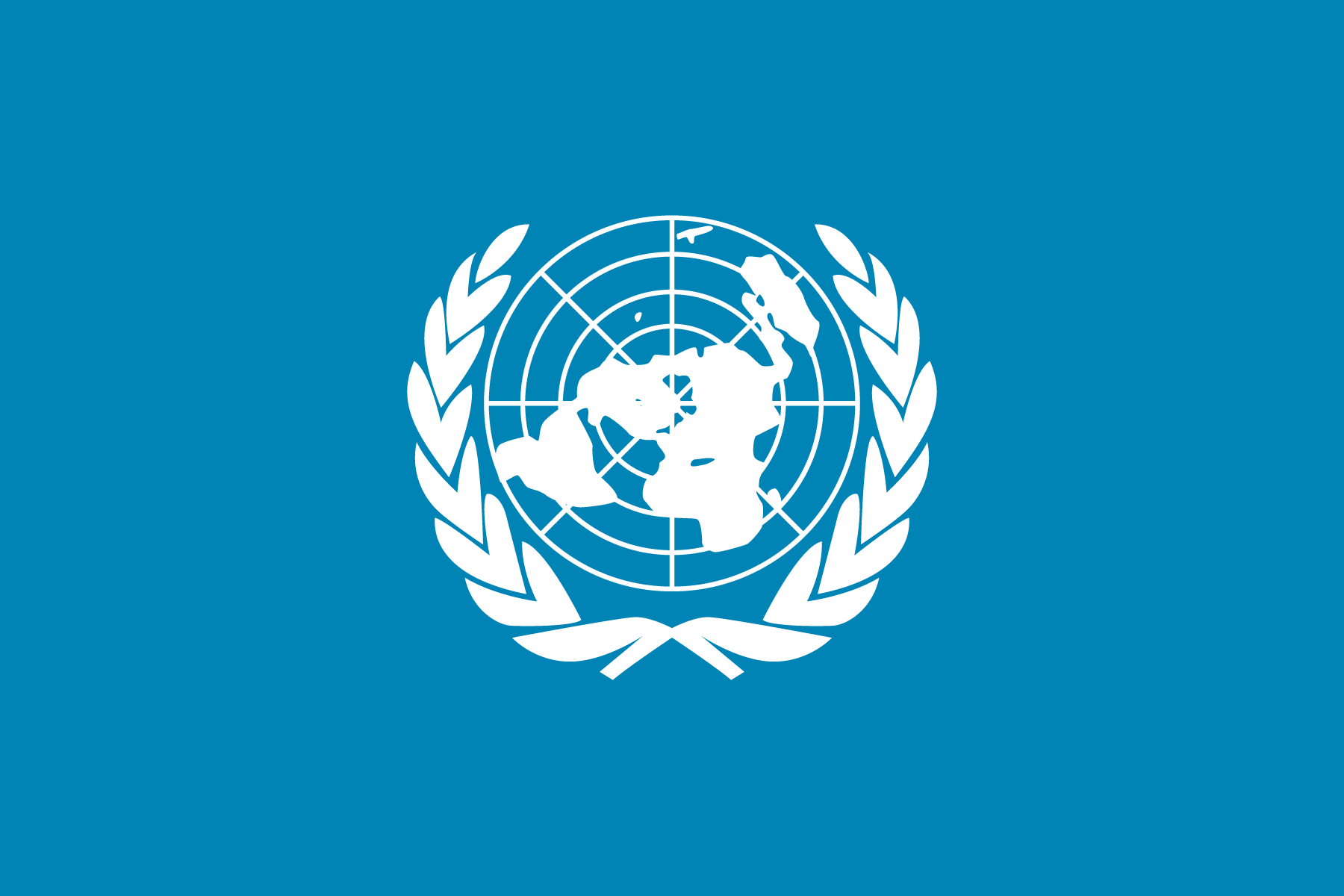 国際連合（国連）